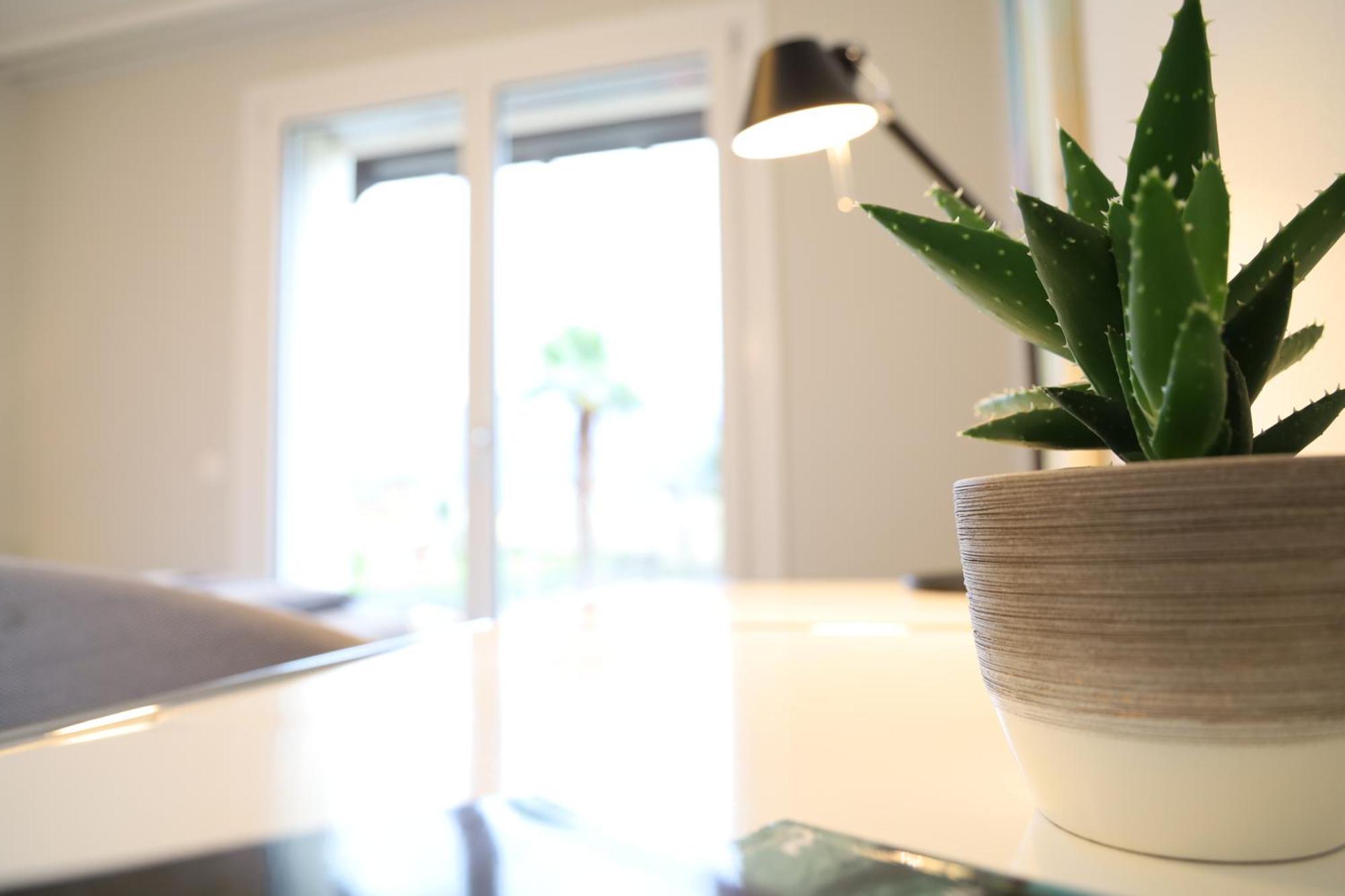 Casa Quattro Fiumi Apartment Tegna Luaran gambar